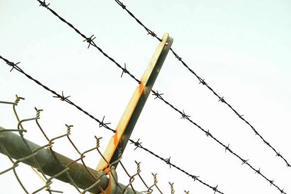 fine galvanised mesh