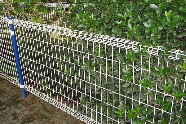 green coated chain link fence
