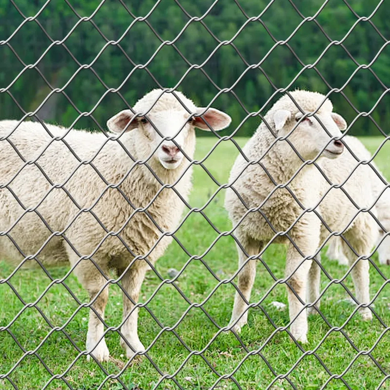5mm stainless steel mesh